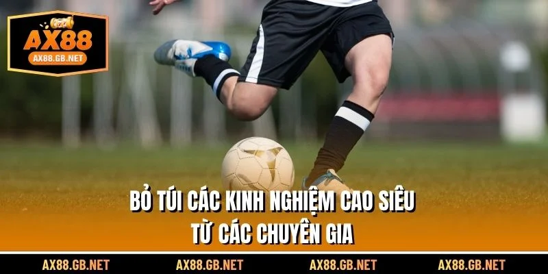 Bỏ túi các kinh nghiệm cao siêu từ các chuyên gia