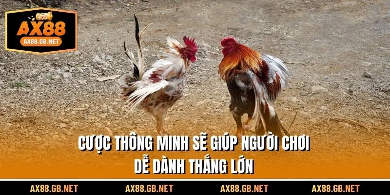 Ngược thông minh sẽ giúp người chơi dễ dành chiến thắng lớn