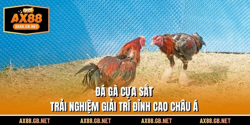 Đá Gà Cựa Sắt