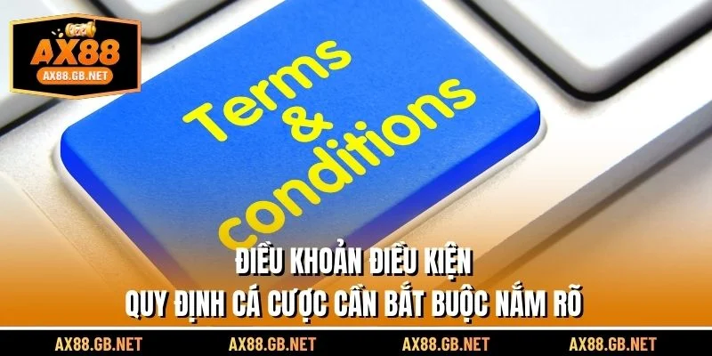 Điều Khoản Điều Kiện
