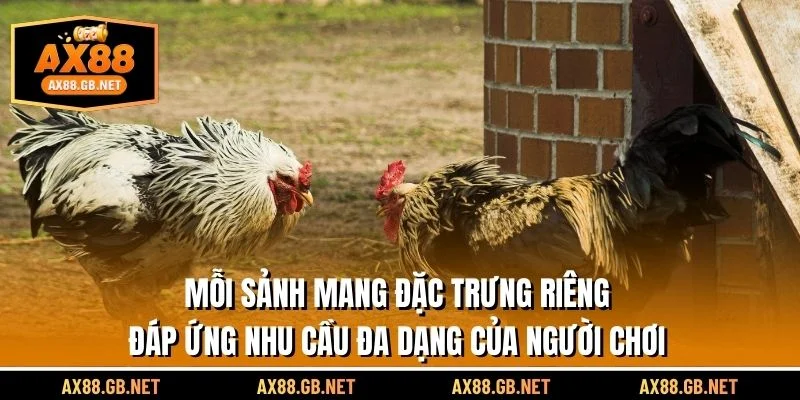 Mỗi sảnh mang đặc trưng riêng, đáp ứng nhu cầu đa dạng của người chơi