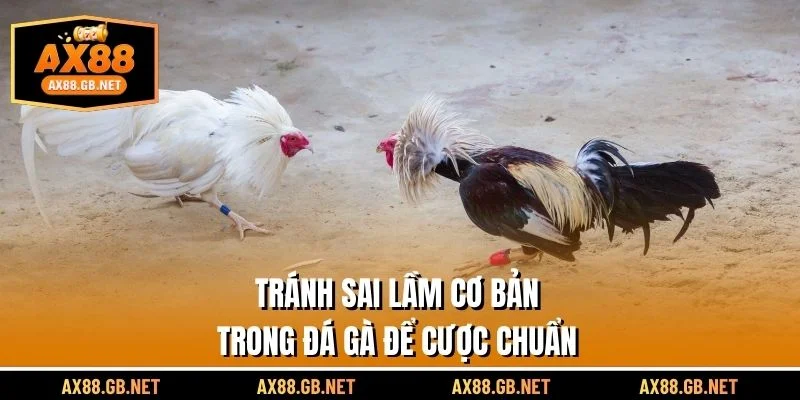 Tránh sai cơ bản trong đá gà để đánh chuẩn
